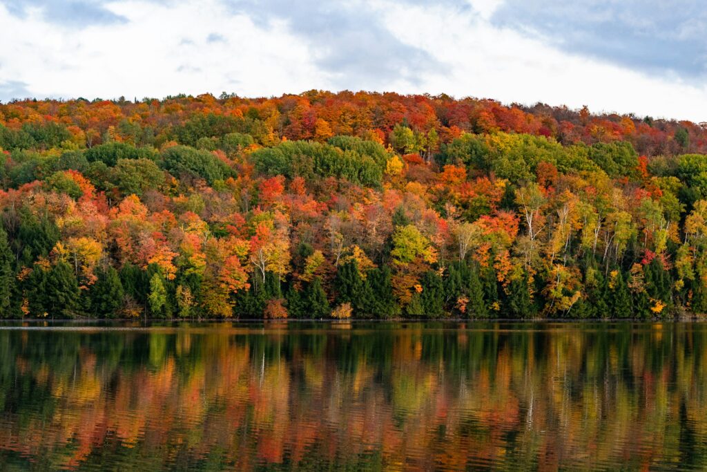 best places to see fall foliage - New England