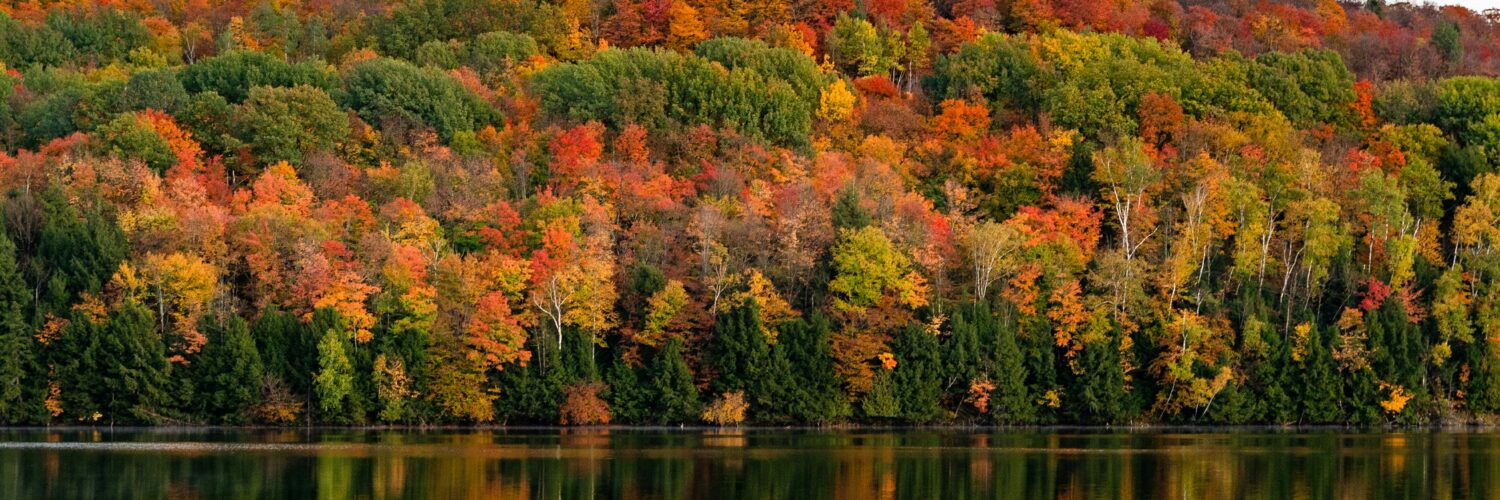best places to see fall foliage