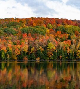 best places to see fall foliage