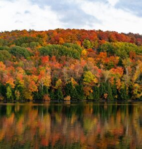 best places to see fall foliage