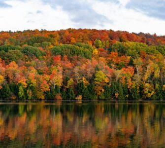best places to see fall foliage