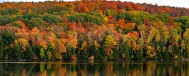 best places to see fall foliage