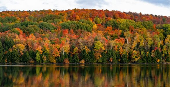 best places to see fall foliage